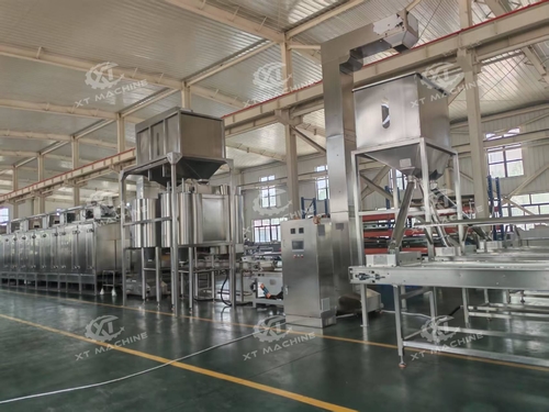 Son şirket çözümleri hakkında Mısır'a sevk edilen Fıstık Kavurma ve Haşlama Hattı 2000-3000kg/saat