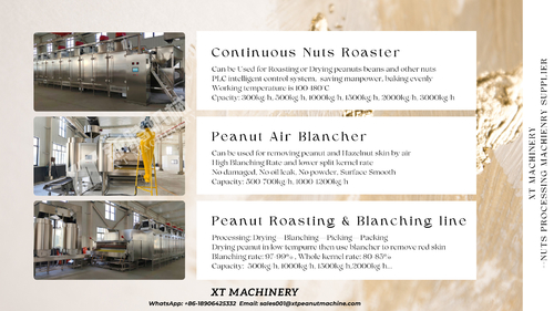 Latest company news about XT MACHINERY'nin Gelişmiş Fıstık Kızartma ve Blanching Lini ile Fıstık İşleminizde Devrim Yapın