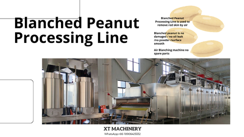 Latest company news about Blanched Fıstık İşleme hattımızı seçmek için 5 ipucu