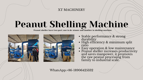 Latest company news about Fıstık Kırpma Makinesi Tanıtım
