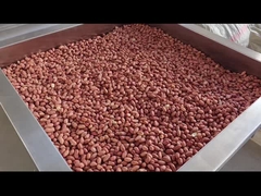 PLC Kontrolü Devamlı Fındık Fırın Devamlı Fındık Kızartıcı Kurutucu/Kızartıcı