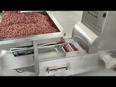 Z Tipi Asansör Konveyör