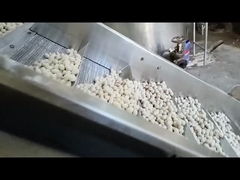 Sürekli Kızartma Makinesi