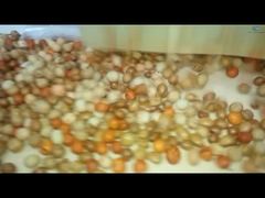 Kaplama ve Kavurma Üretim Hattı