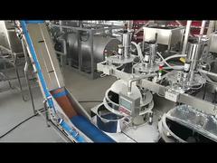 Kızartılmış Kaplamalı Yer Fıstığı Üretim Hattı