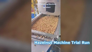 Fındık makinası deneme çalışma videosu karşınızda! Gıda işleme tesisleri için mükemmel seçim. #makine