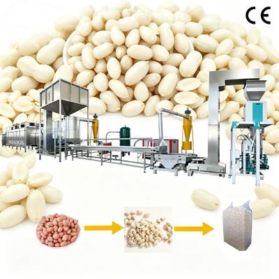Stainless Steel Blanched Peanut Making Line Automatic Air Peeling Roaster Equipment for White Peanut Kernel Production